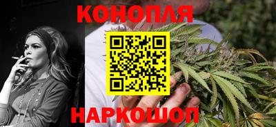 альфа пвп Заводоуковск